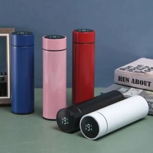 Stainless Steel Vacuum Insulated Water Bottle with Temperature Display